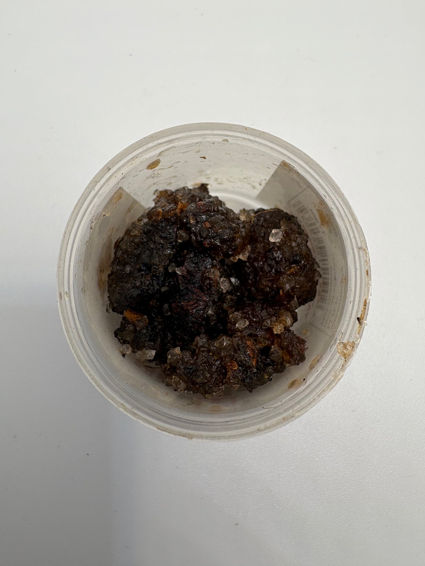 Guggal Pure (Commiphora wightii)