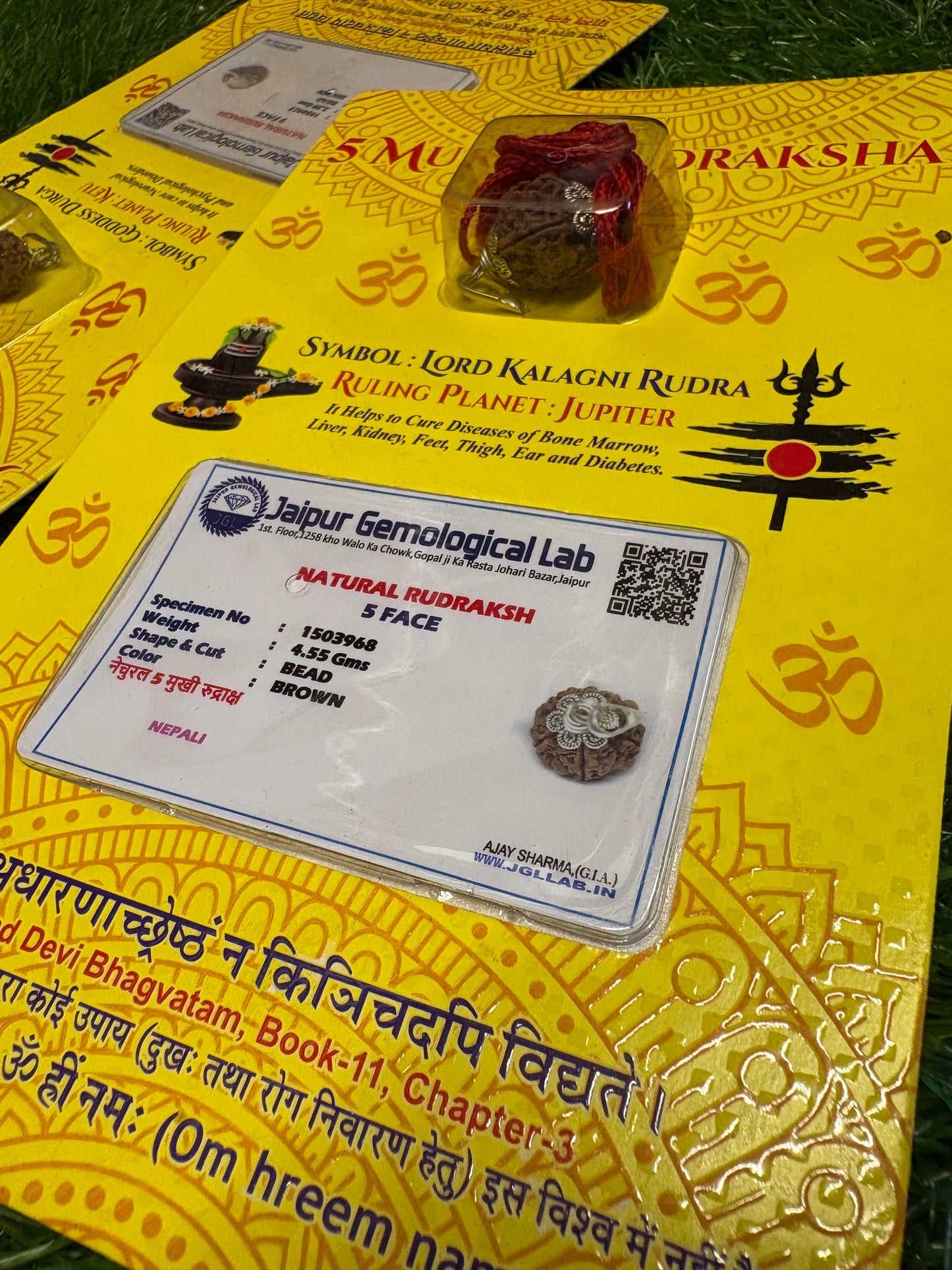 5 Mukhi Rudraksha – Sacred Bead of Peace, Health & Protection