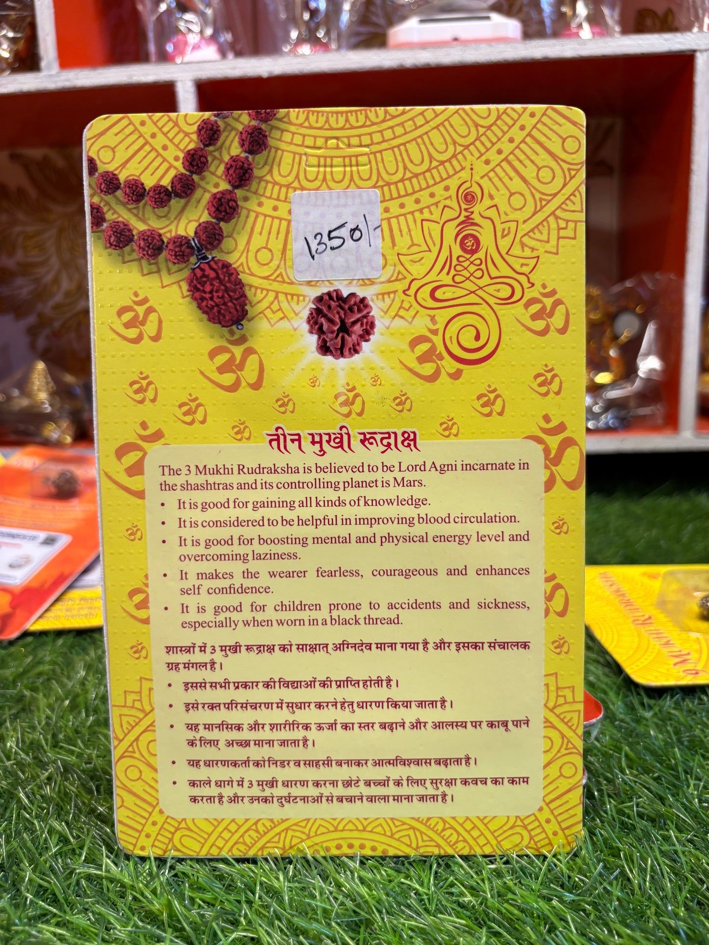 3 Mukhi Rudraksha – Burn Past Karma, Embrace Confidence & Clarity