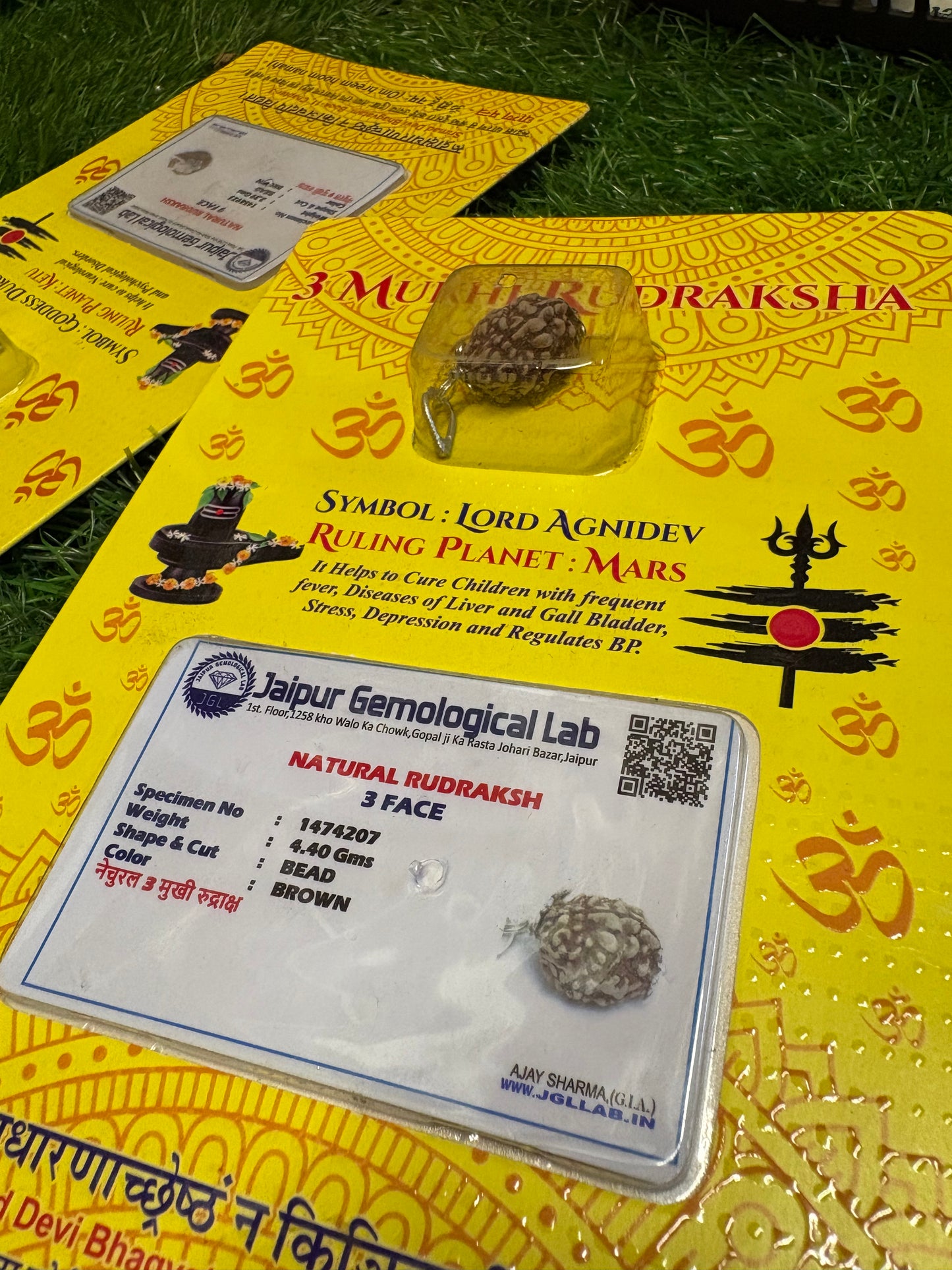 3 Mukhi Rudraksha – Burn Past Karma, Embrace Confidence & Clarity