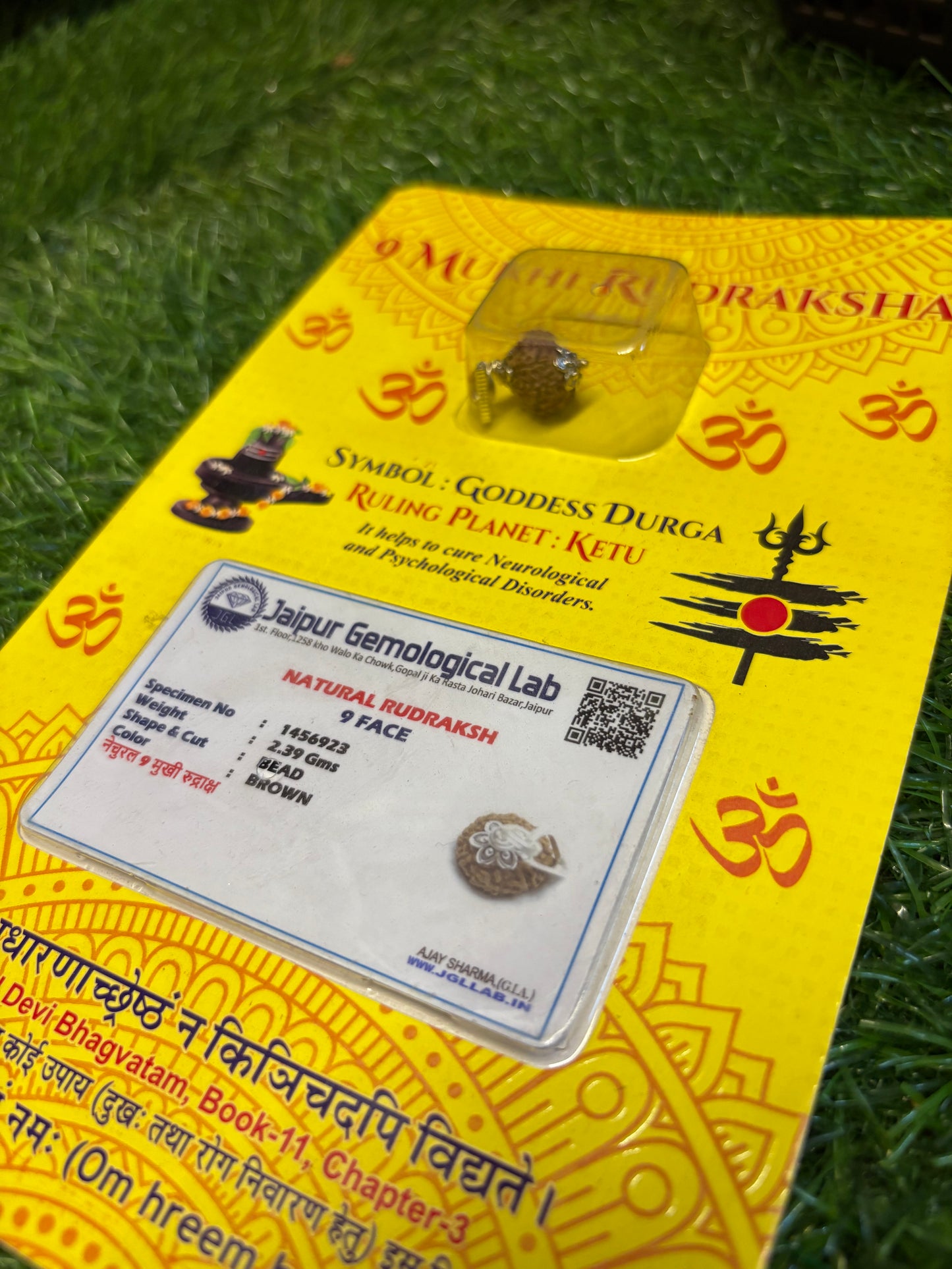 9 Mukhi Rudraksha – Power of Durga for Protection, Energy & Success