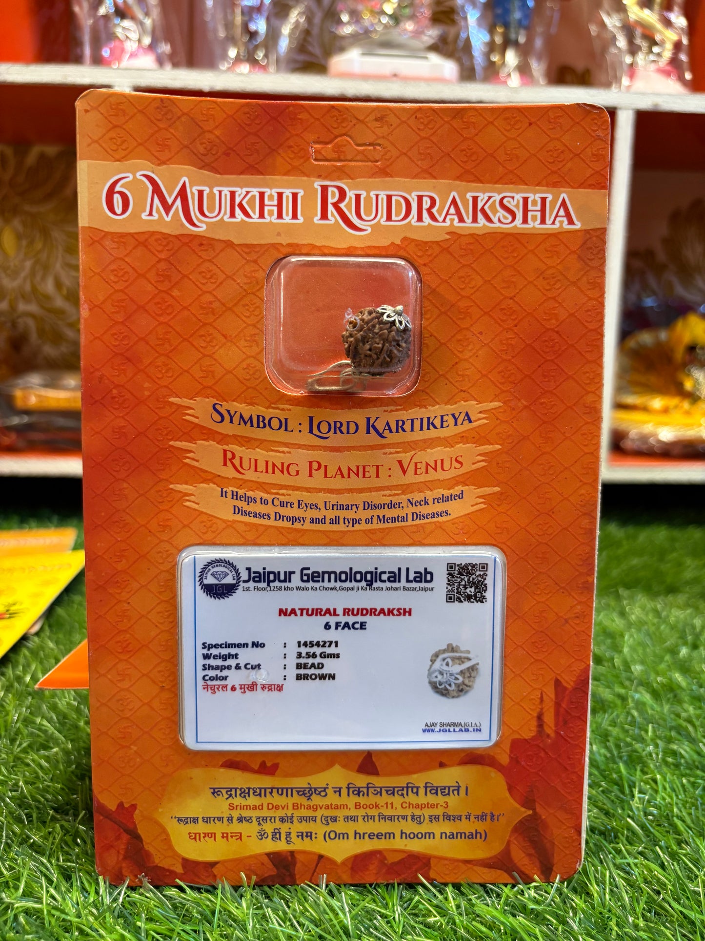 6 Mukhi Rudraksha – Power of Kartikeya for Confidence, Focus & Relationships