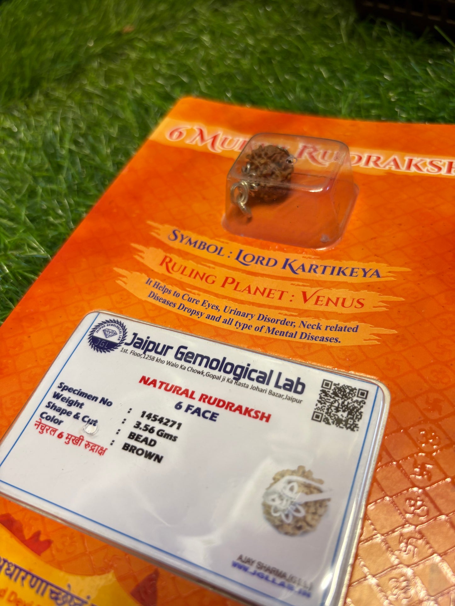 6 Mukhi Rudraksha – Power of Kartikeya for Confidence, Focus & Relationships