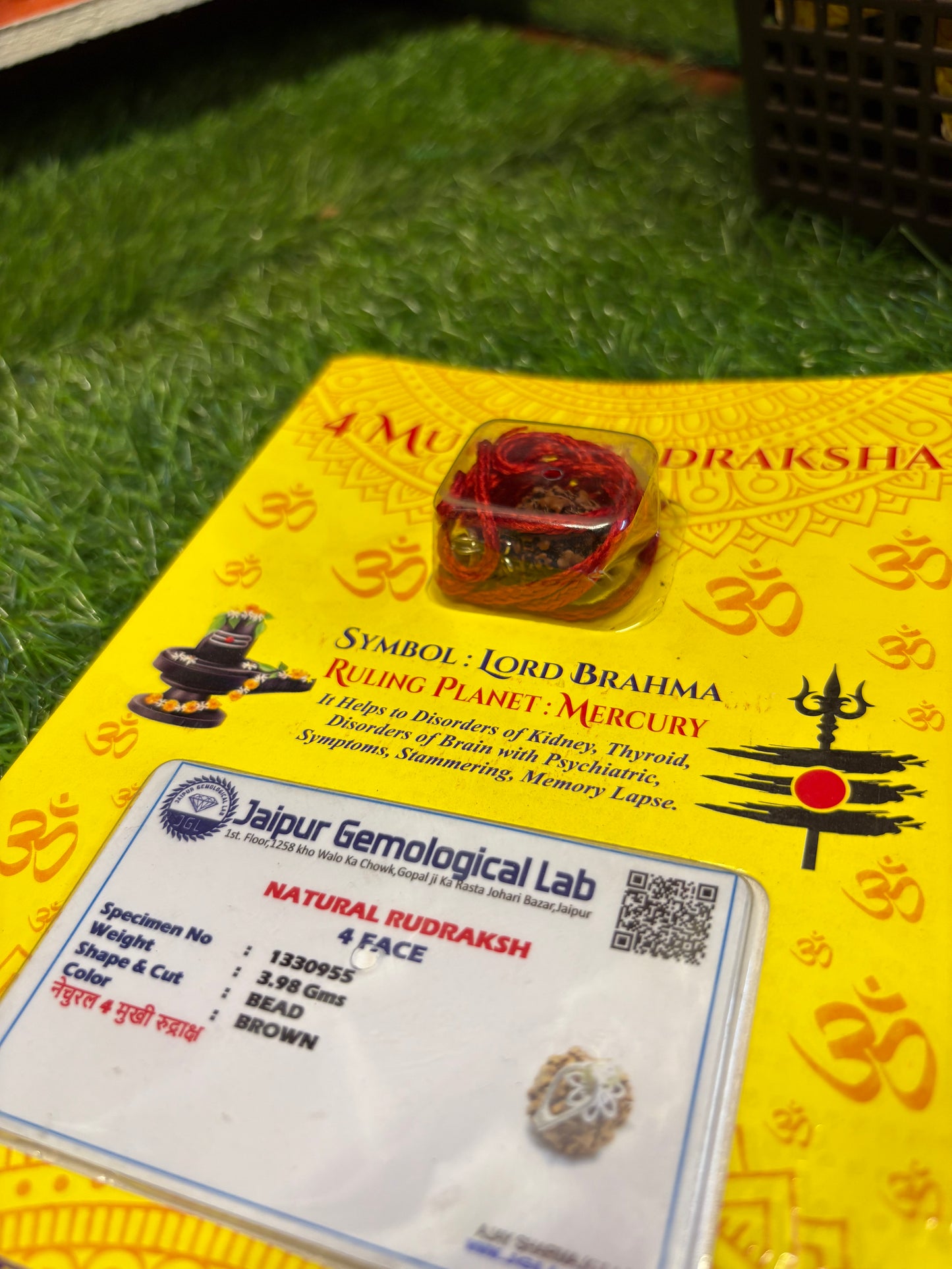 4 Mukhi Rudraksha – Unlock the Power of Wisdom, Creativity & Speech