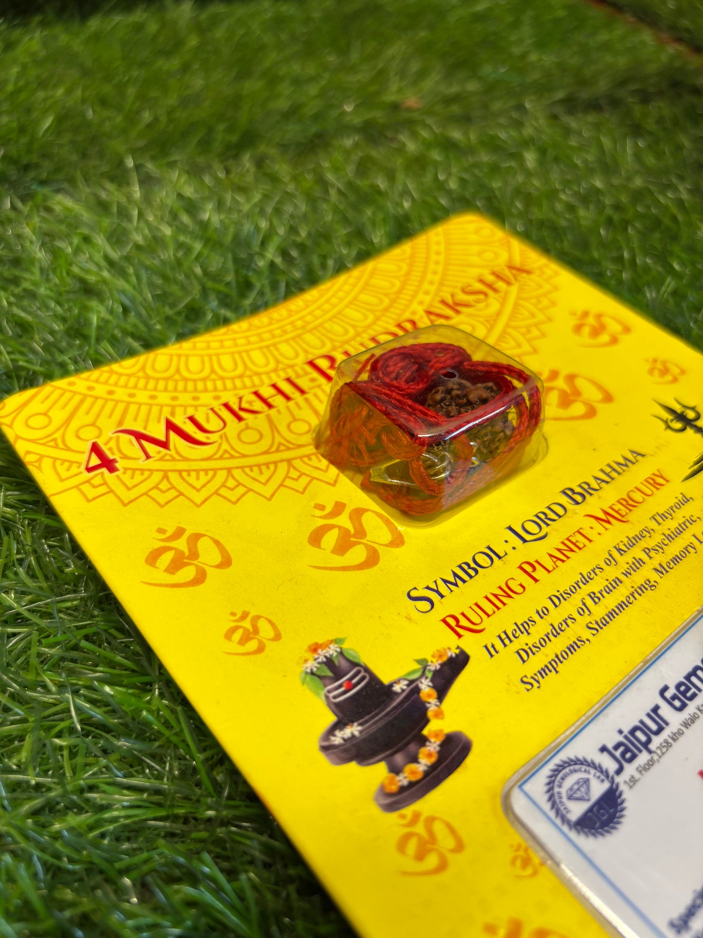 4 Mukhi Rudraksha – Unlock the Power of Wisdom, Creativity & Speech