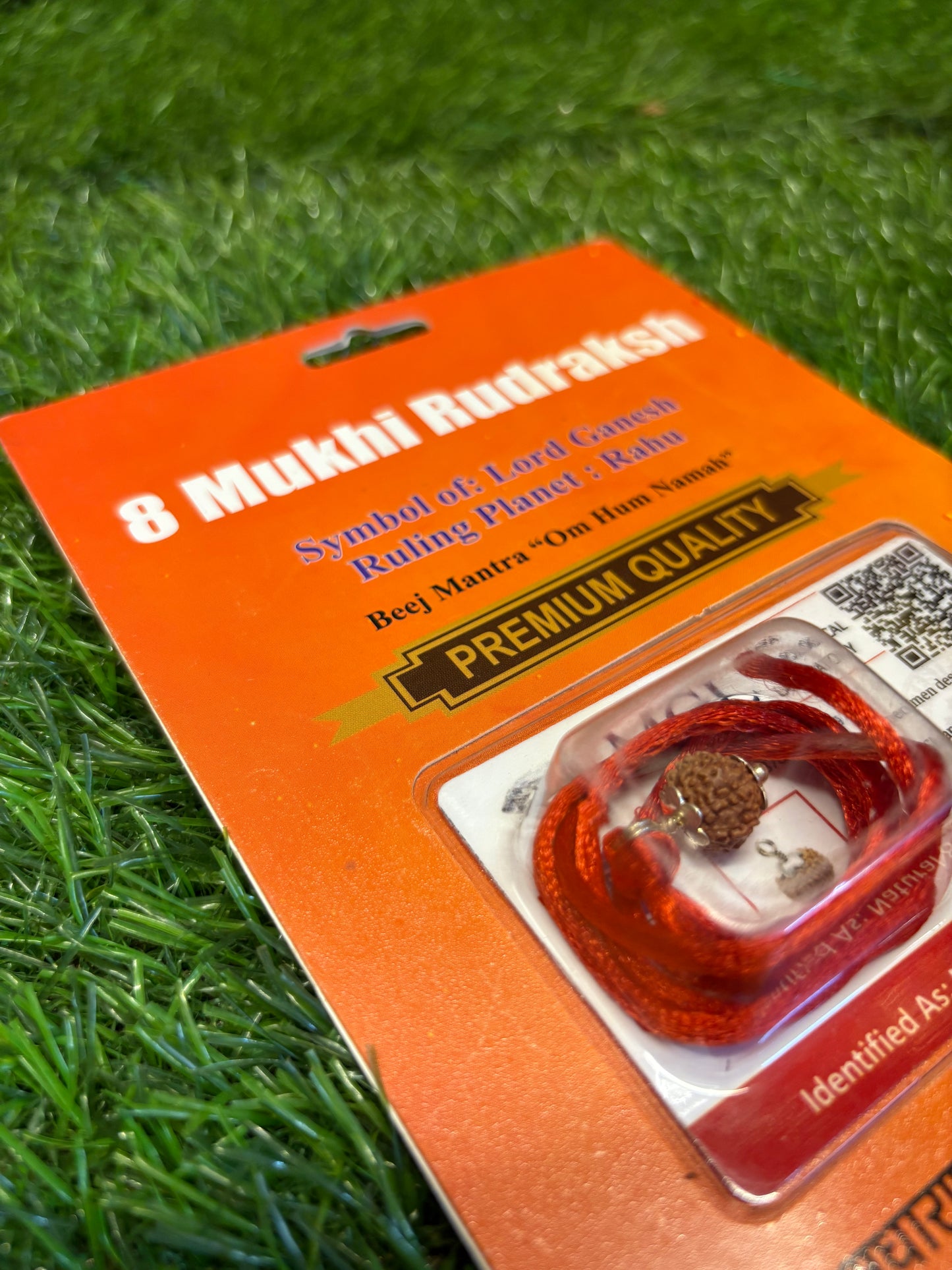 8 Mukhi Rudraksha – Remove Obstacles, Embrace Success