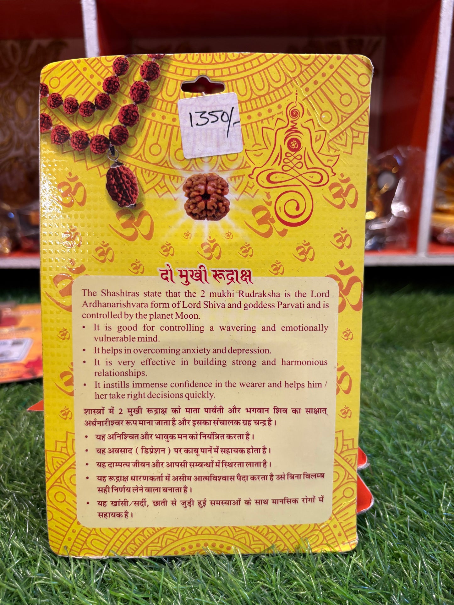 2 Mukhi Rudraksha – Symbol of Unity, Love & Harmony