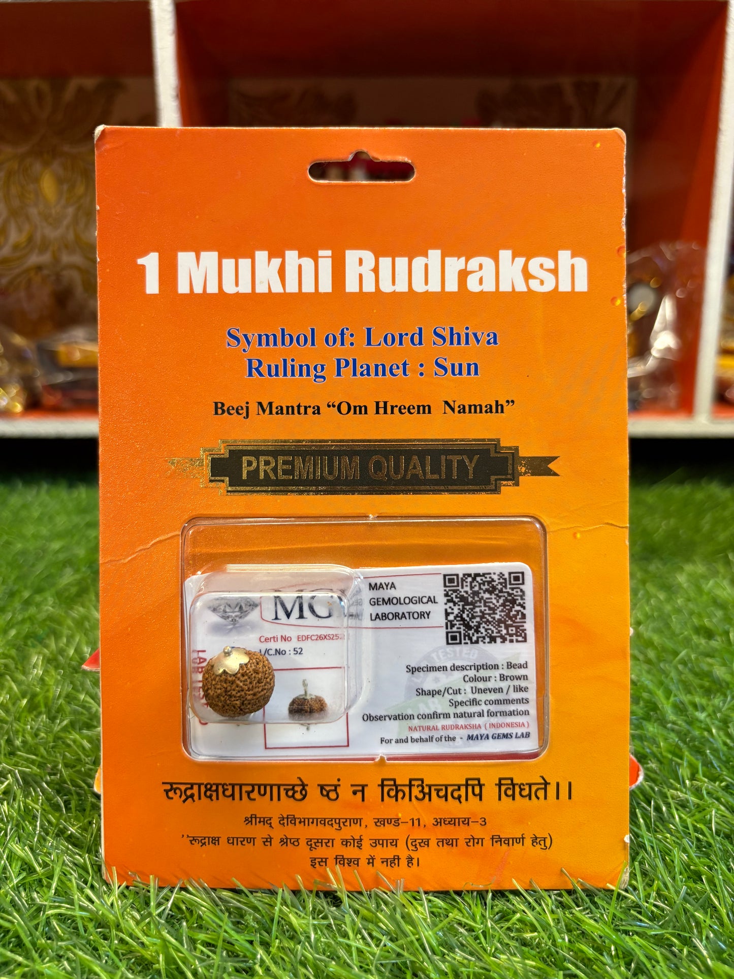 1 Mukhi Rudraksha β The Rarest Symbol of Divine Consciousness