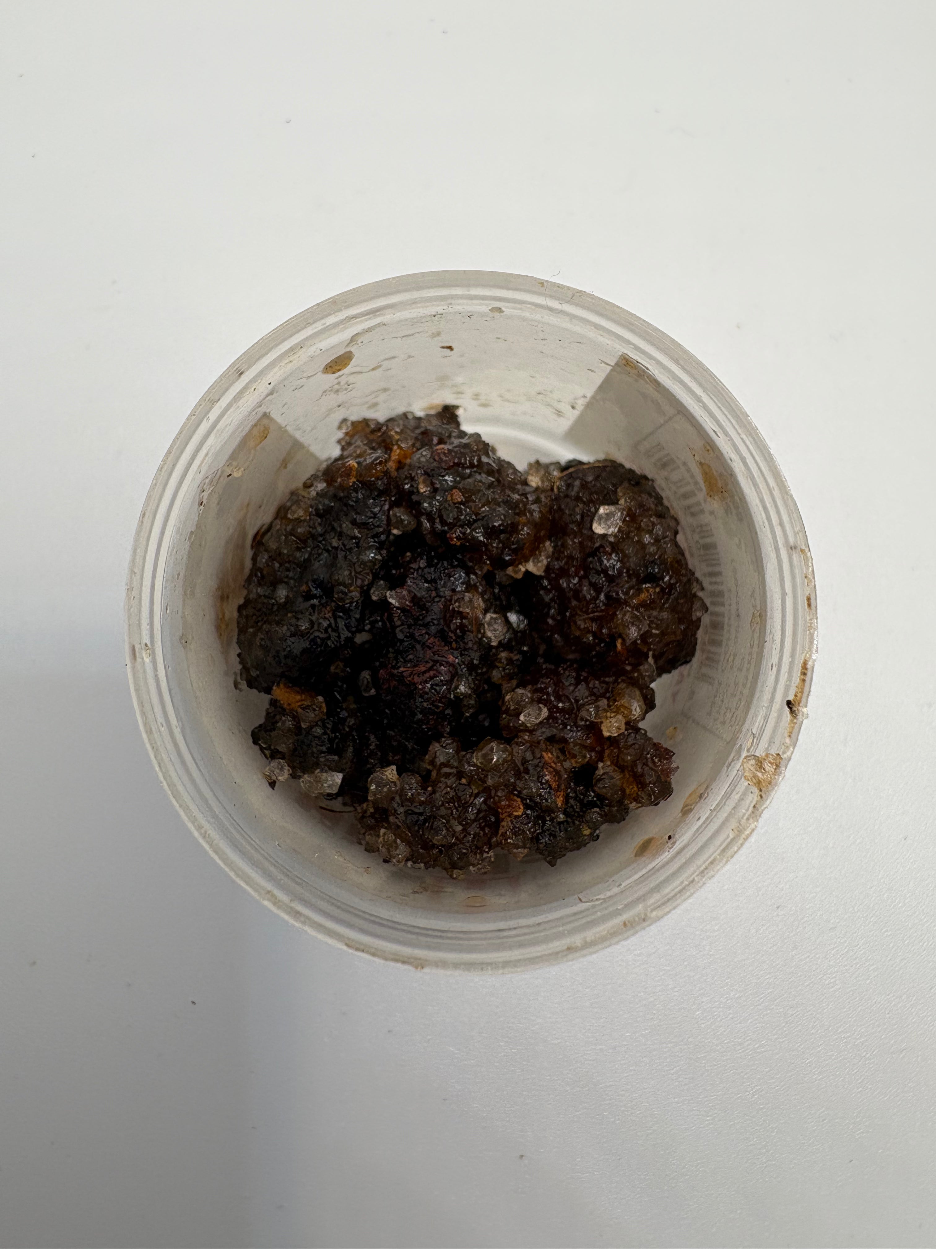Guggal Pure (Commiphora wightii)