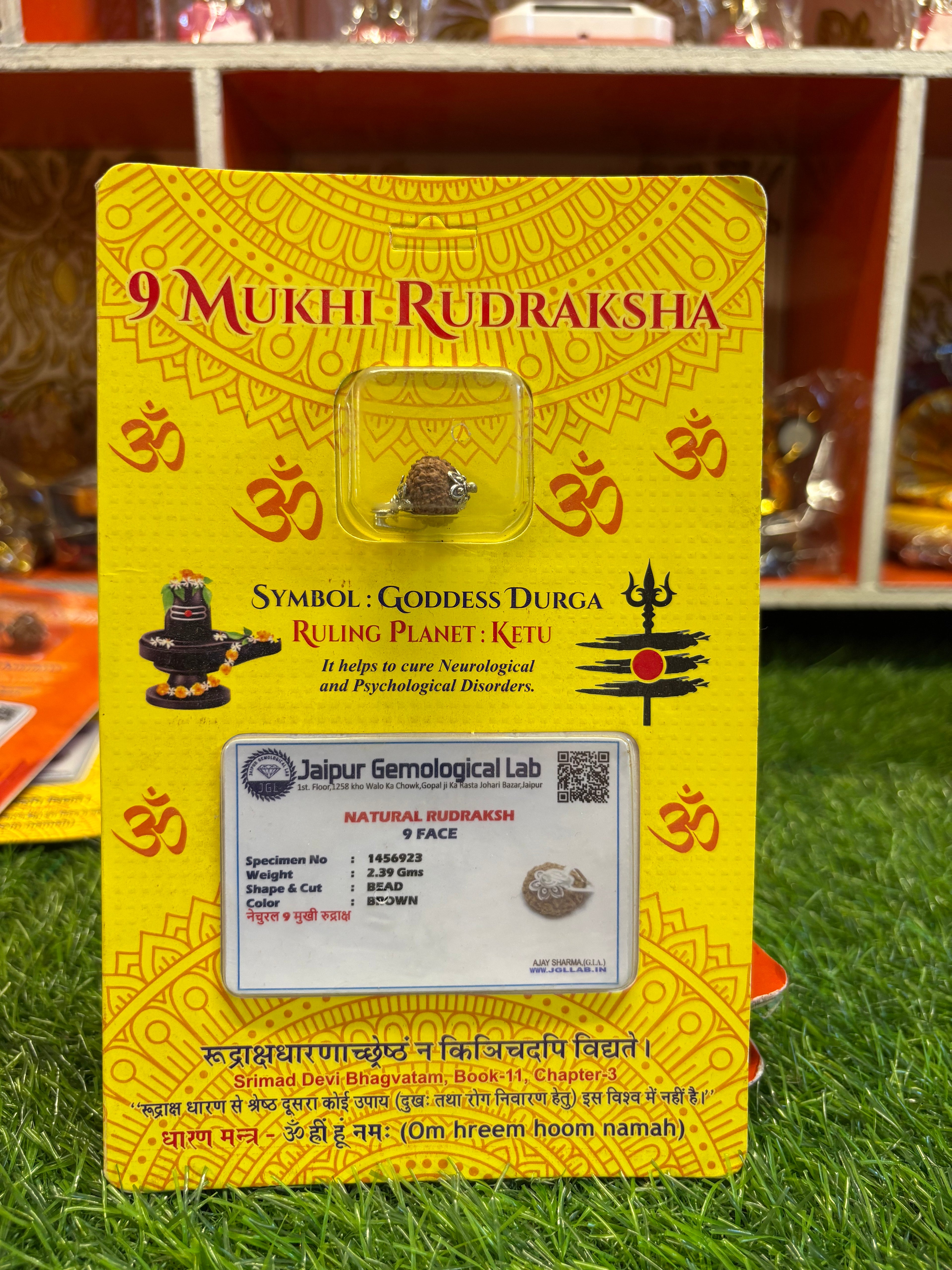 9 Mukhi Rudraksha