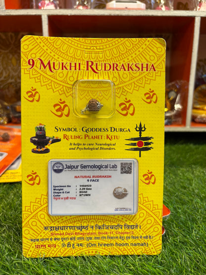 9 Mukhi Rudraksha – Power of Durga for Protection, Energy & Success