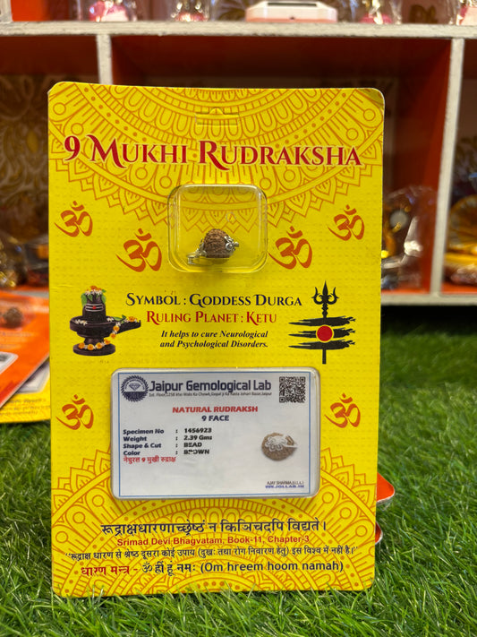 9 Mukhi Rudraksha – Power of Durga for Protection, Energy & Success