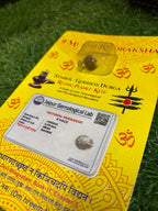9 Mukhi Rudraksha