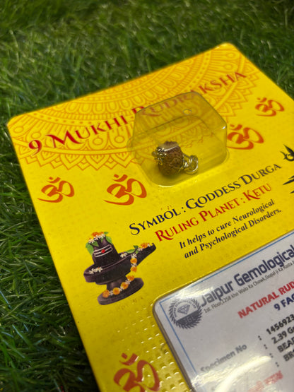 9 Mukhi Rudraksha – Power of Durga for Protection, Energy & Success