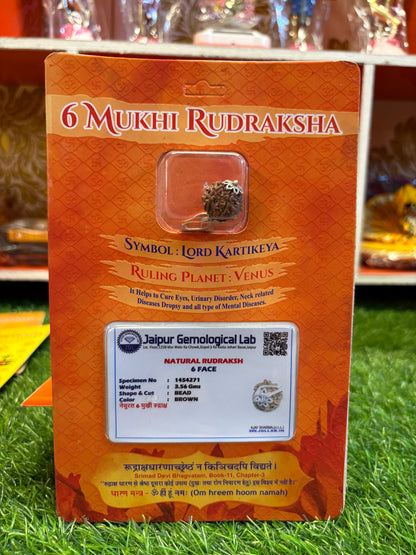 6 Mukhi Rudraksha – Power of Kartikeya for Confidence, Focus & Relationships