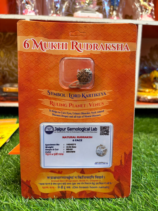6 Mukhi Rudraksha – Power of Kartikeya for Confidence, Focus & Relationships