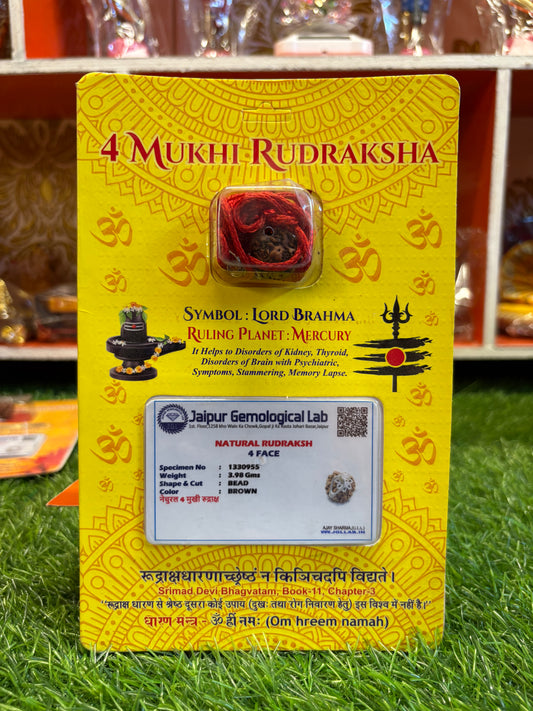 4 Mukhi Rudraksha – Unlock the Power of Wisdom, Creativity & Speech