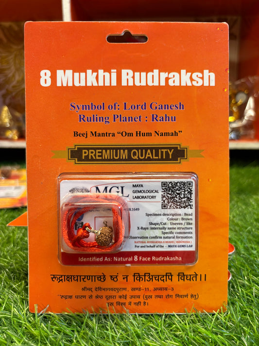 8 Mukhi Rudraksha – Remove Obstacles, Embrace Success
