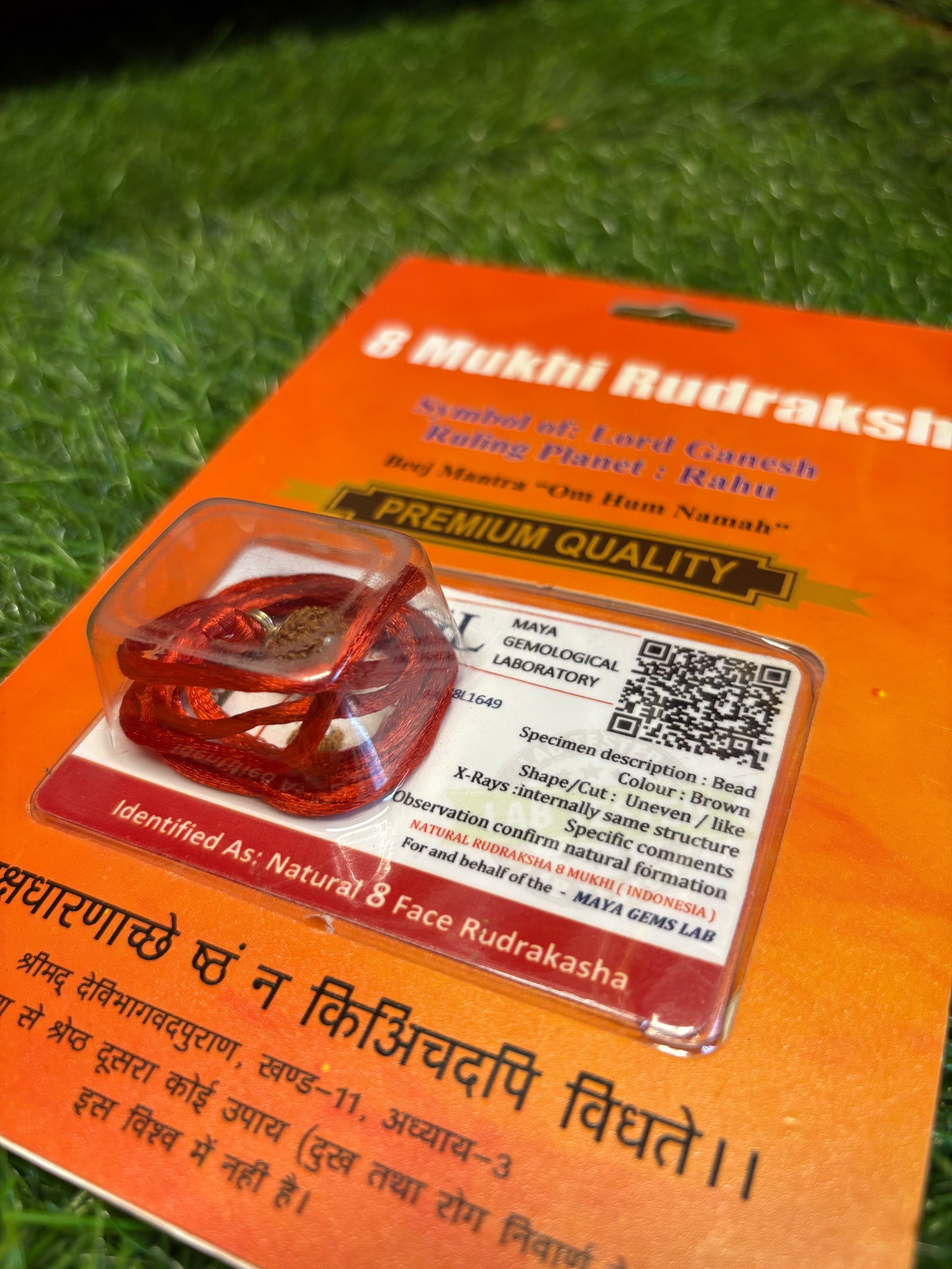 8 Mukhi Rudraksha – Remove Obstacles, Embrace Success