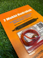 7 Mukhi Rudraksha