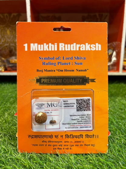 1 Mukhi Rudraksha – The Rarest Symbol of Divine Consciousness
