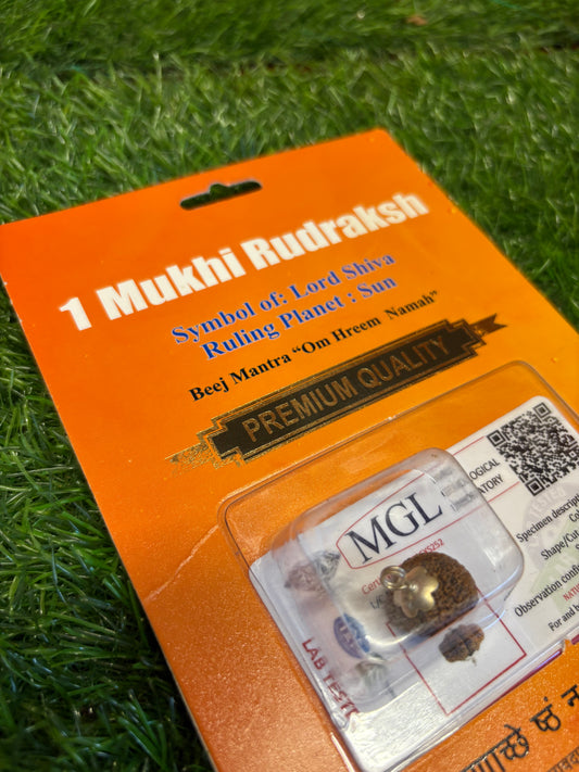 1 Mukhi Rudraksha – The Rarest Symbol of Divine Consciousness