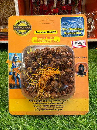 5 Mukhi Rudraksha Mala (6mm) – Divine Protection & Daily Wellness