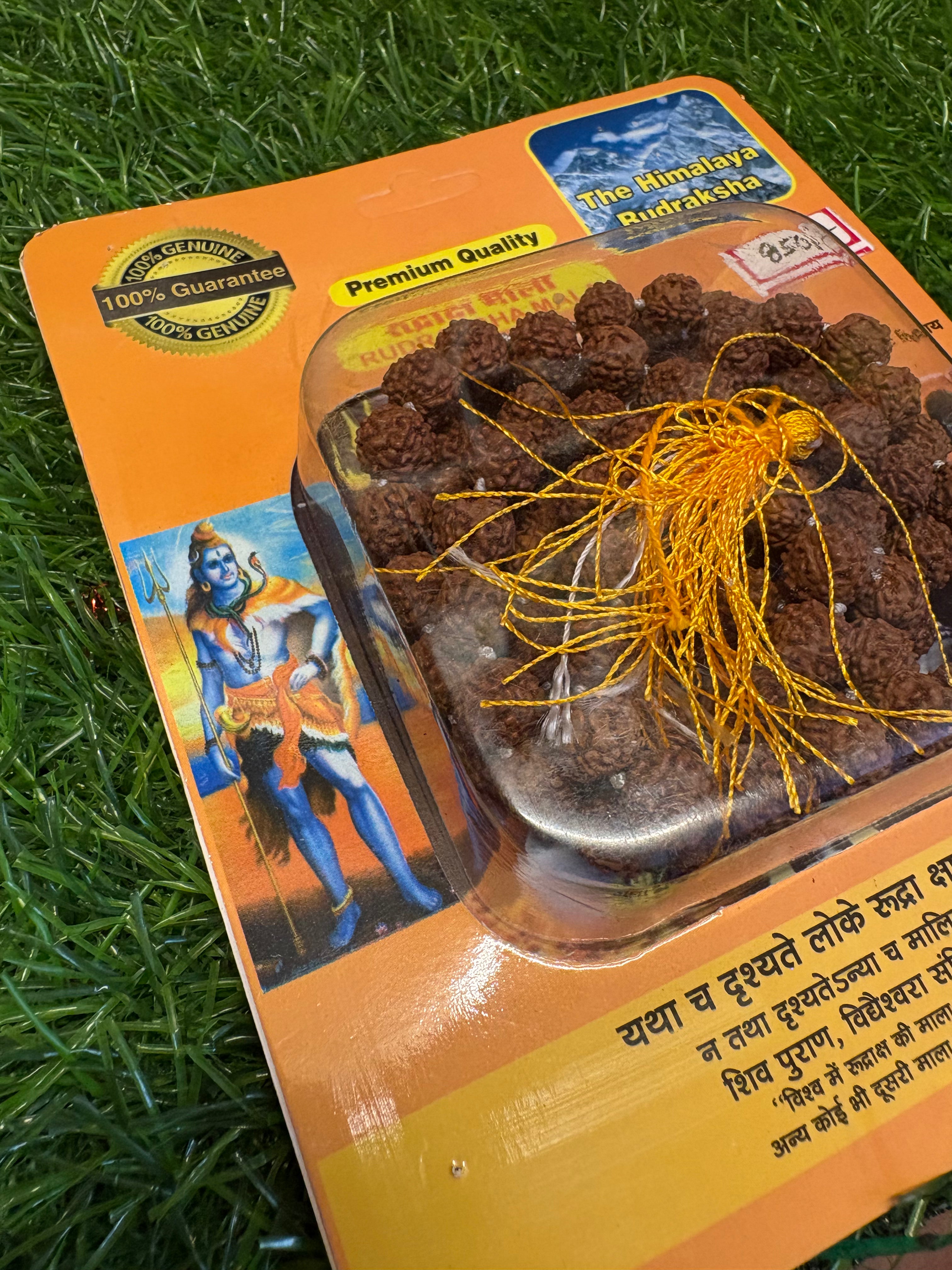 5 Mukhi Rudraksha Mala (6mm)