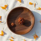 9 Mukhi Rudraksha
