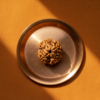 4 Mukhi Rudraksha