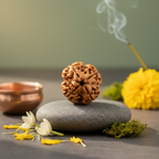 4 Mukhi Rudraksha