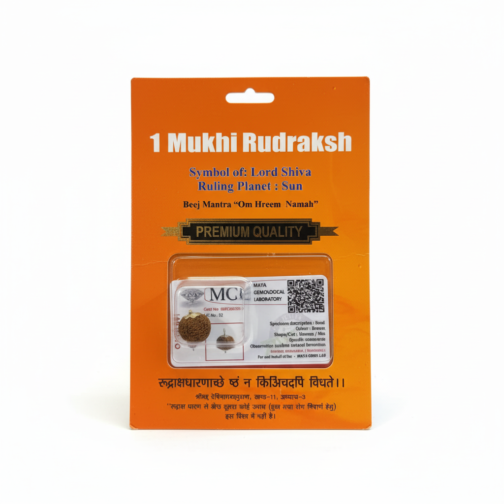 1 Mukhi Rudraksha - Rameshwaram / Indonesian