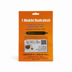 1 Mukhi Rudraksha - Rameshwaram / Indonesian