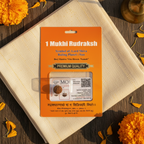 1 Mukhi Rudraksha - Rameshwaram / Indonesian